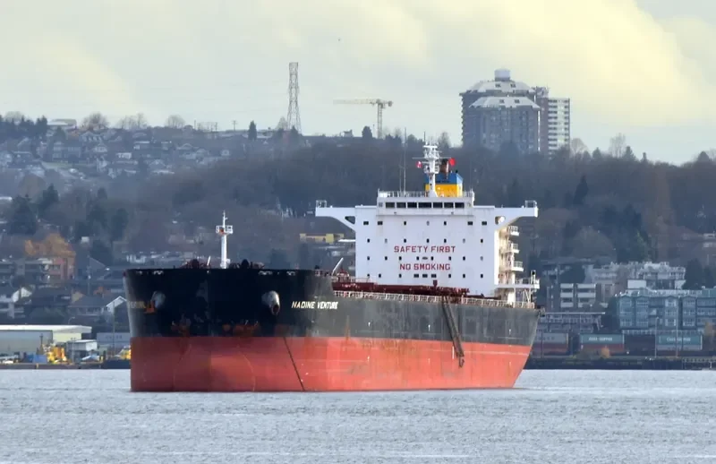 NADINE V Bulk Carrier IMO 9512563 photo 3