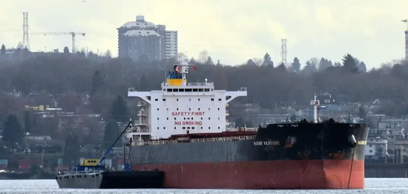 NADINE V Bulk Carrier IMO 9512563 photo 4