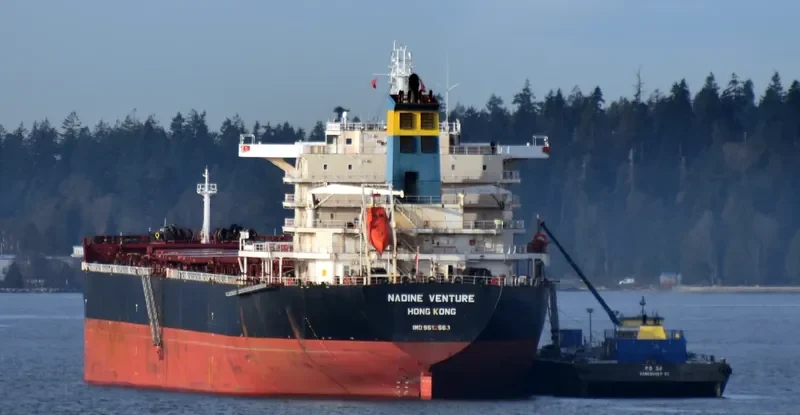 NADINE V Bulk Carrier IMO 9512563 photo 5