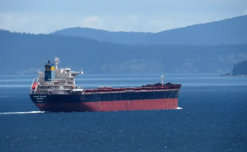 NADINE V Bulk Carrier IMO 9512563 photo 6