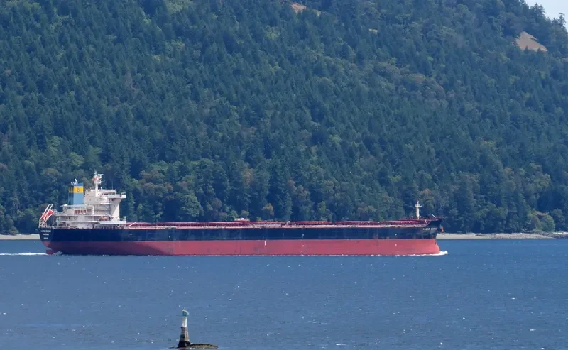 NADINE V Bulk Carrier IMO 9512563 photo 7