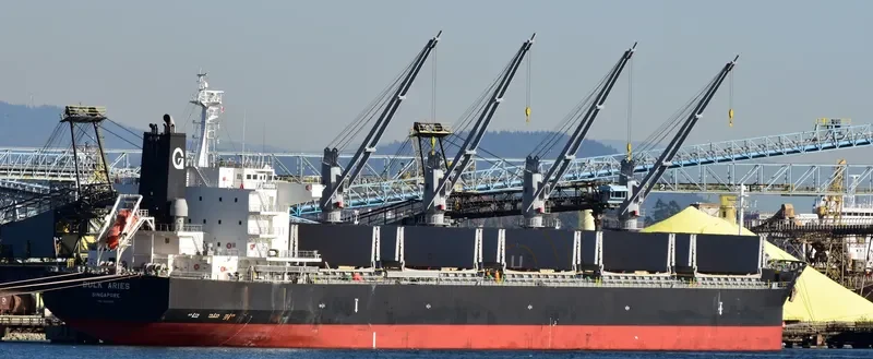 BULK ARIES Bulk Carrier IMO 9512630