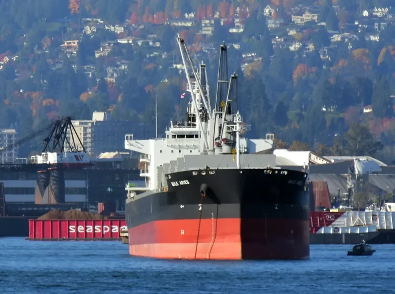 BULK ARIES Bulk Carrier IMO 9512630 photo 3