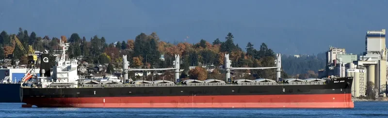 BULK ARIES Bulk Carrier IMO 9512630 photo 5