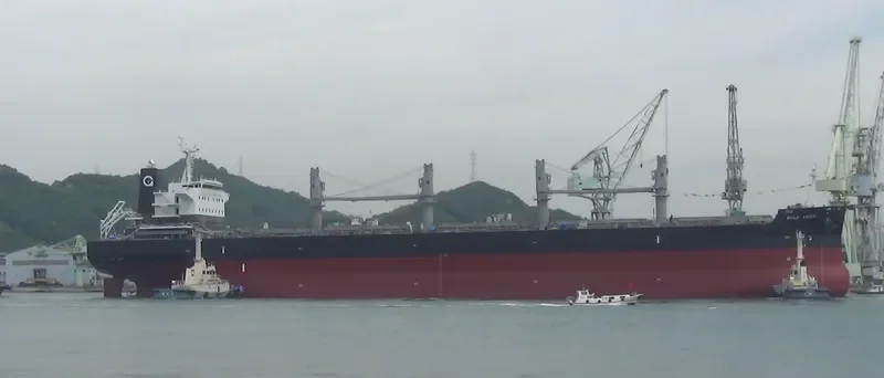 BULK ARIES Bulk Carrier IMO 9512630 photo 6