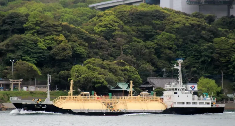 RYOAN MARU General Cargo IMO 9512886 photo 3
