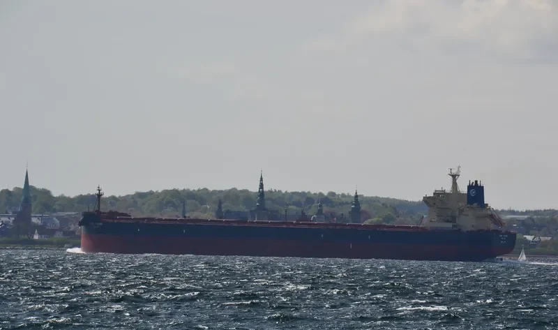 HERMES I Bulk Carrier IMO 9512898 photo 5