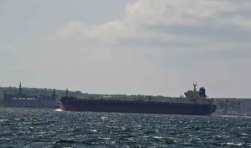 HERMES I Bulk Carrier IMO 9512898 photo 6