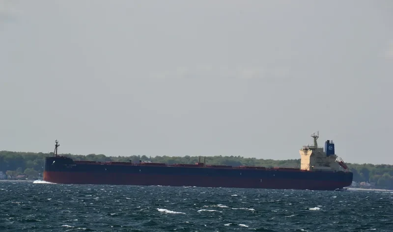 HERMES I Bulk Carrier IMO 9512898 photo 7