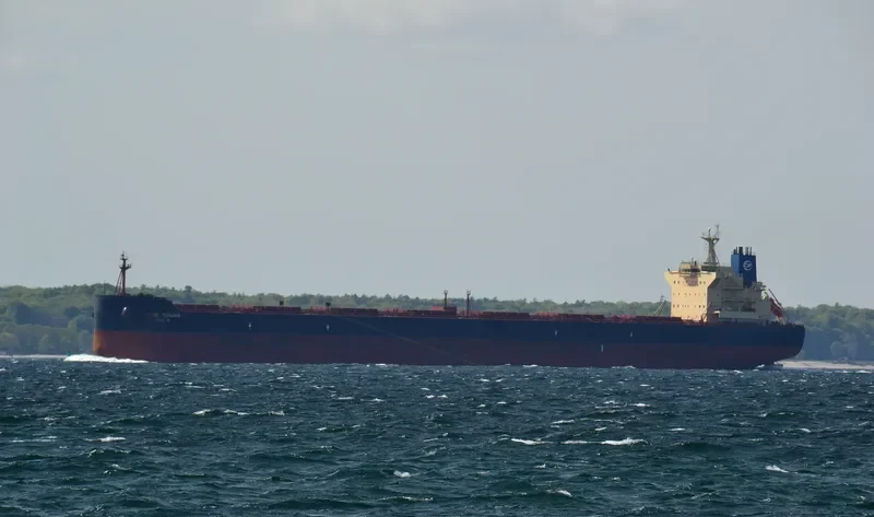 HERMES I Bulk Carrier IMO 9512898 photo 8