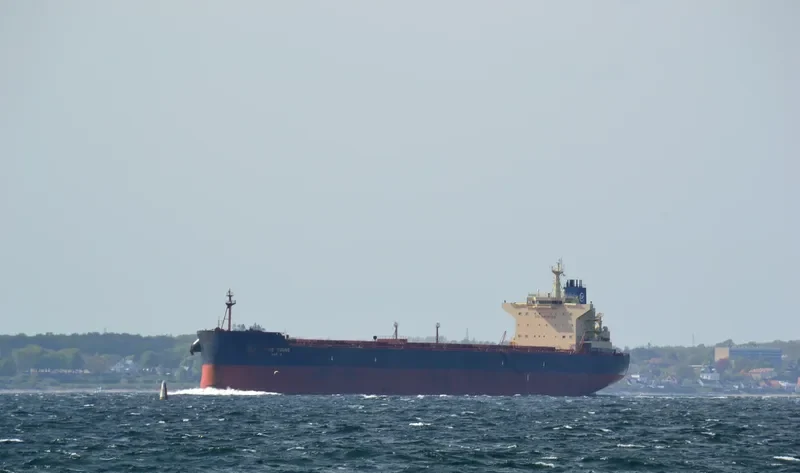 HERMES I Bulk Carrier IMO 9512898 photo 9