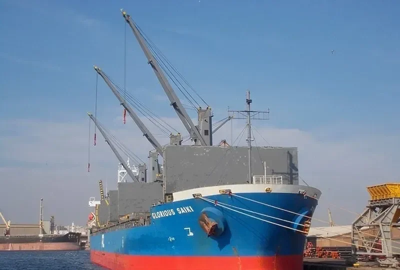 SUNNY SANDRA Bulk Carrier IMO 9512903