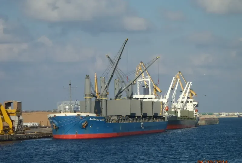 SUNNY SANDRA Bulk Carrier IMO 9512903 photo 2