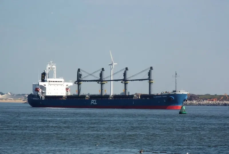 SUNNY SANDRA Bulk Carrier IMO 9512903 photo 5