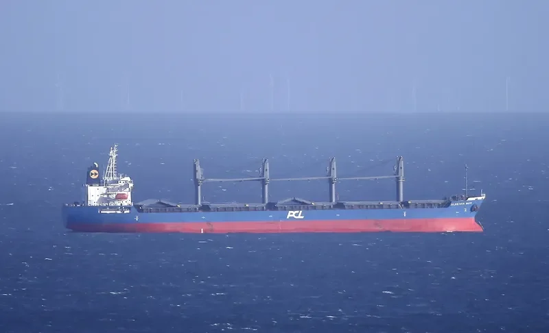 SUNNY SANDRA Bulk Carrier IMO 9512903 photo 6