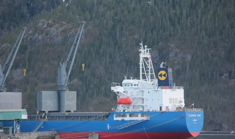 SUNNY SANDRA Bulk Carrier IMO 9512903 photo 8