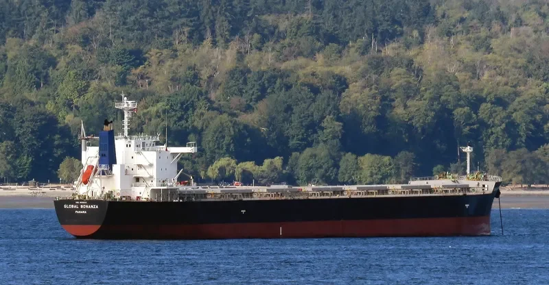 GLOBAL BONANZA Bulk Carrier IMO 9512941