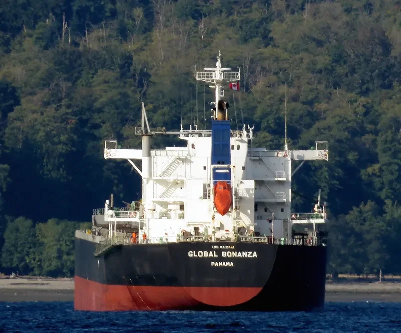 GLOBAL BONANZA Bulk Carrier IMO 9512941 photo 2