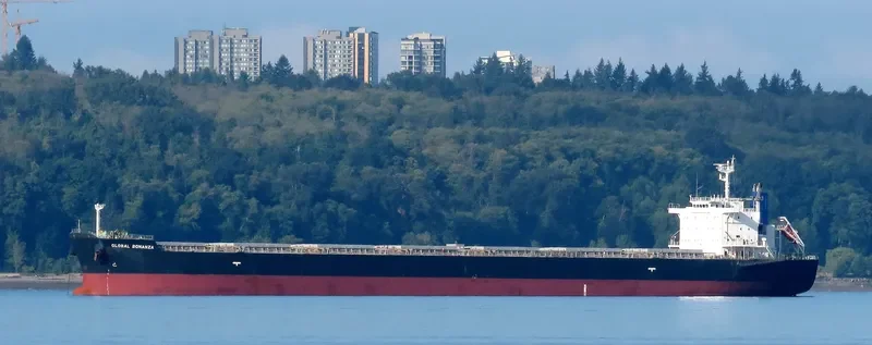 GLOBAL BONANZA Bulk Carrier IMO 9512941 photo 3