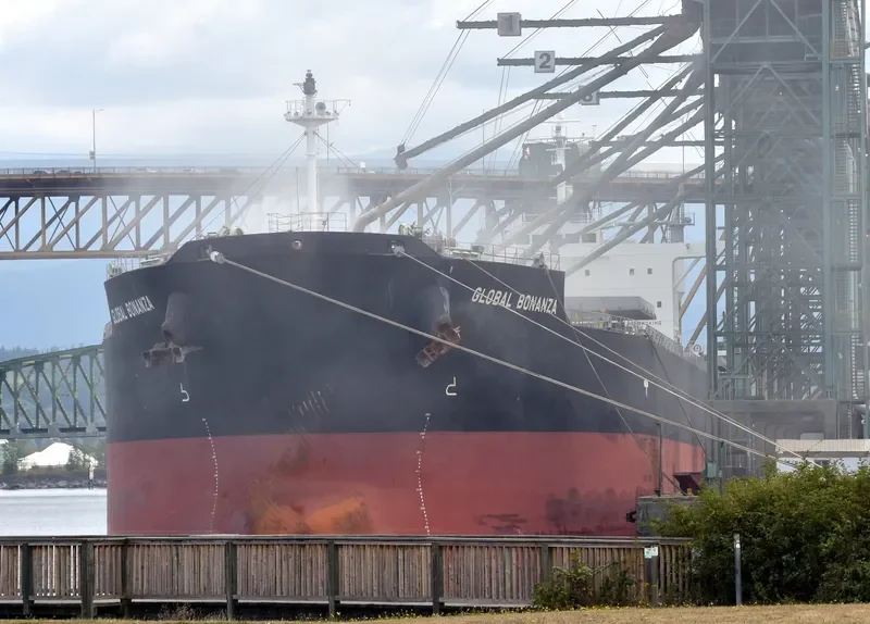 GLOBAL BONANZA Bulk Carrier IMO 9512941 photo 5