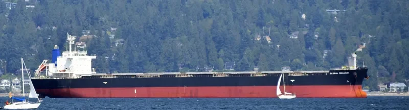 GLOBAL BONANZA Bulk Carrier IMO 9512941 photo 8