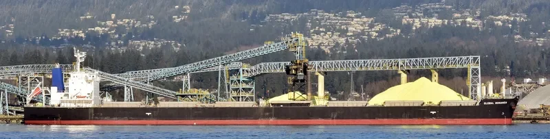 GLOBAL BONANZA Bulk Carrier IMO 9512941 photo 10