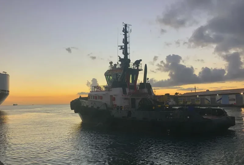 STEADY General Cargo IMO 9513098 photo 8