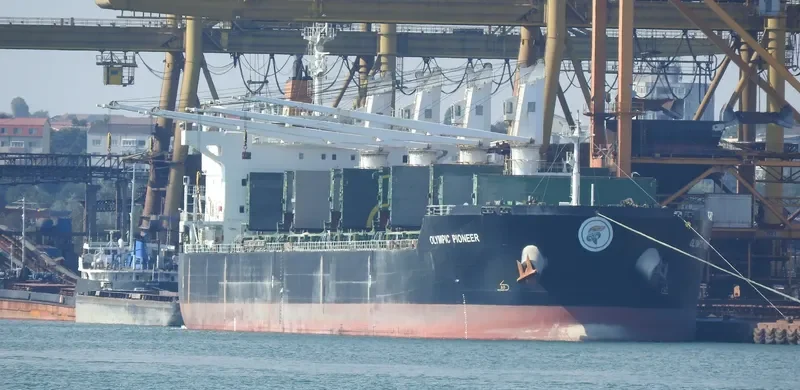 ANNAKI Bulk Carrier IMO 9513830