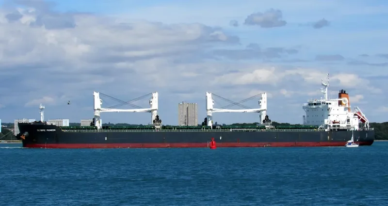ANNAKI Bulk Carrier IMO 9513830 photo 5