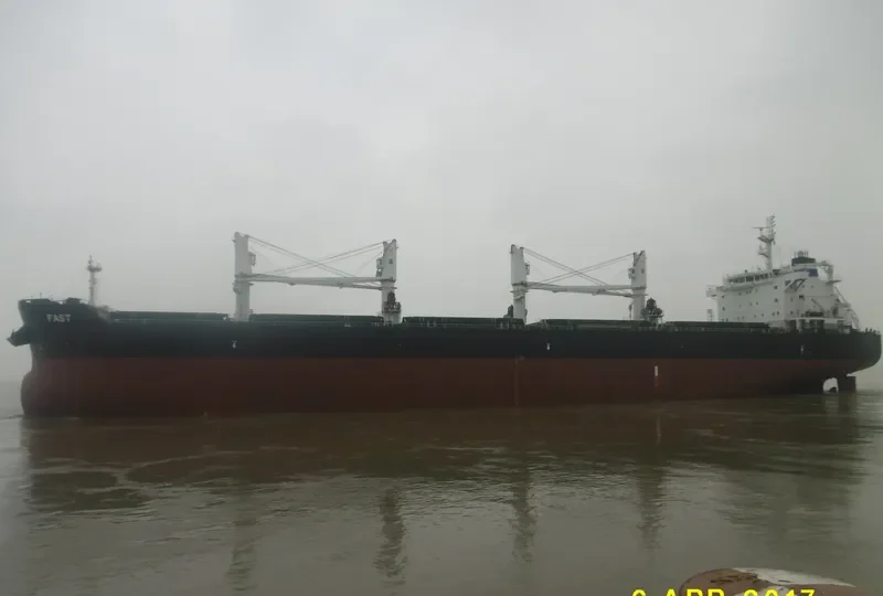 FAST Bulk Carrier IMO 9513842