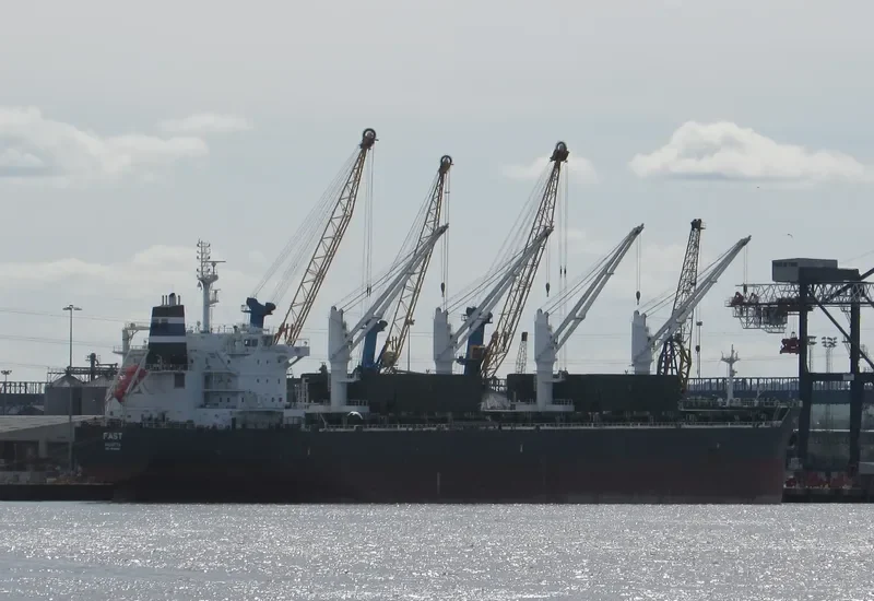 FAST Bulk Carrier IMO 9513842 photo 3