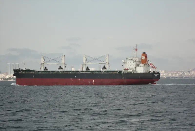 OLYMPIC PROGRESS Bulk Carrier IMO 9513854