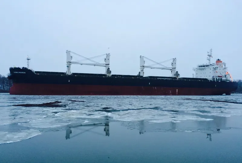 OLYMPIC PROGRESS Bulk Carrier IMO 9513854 photo 3