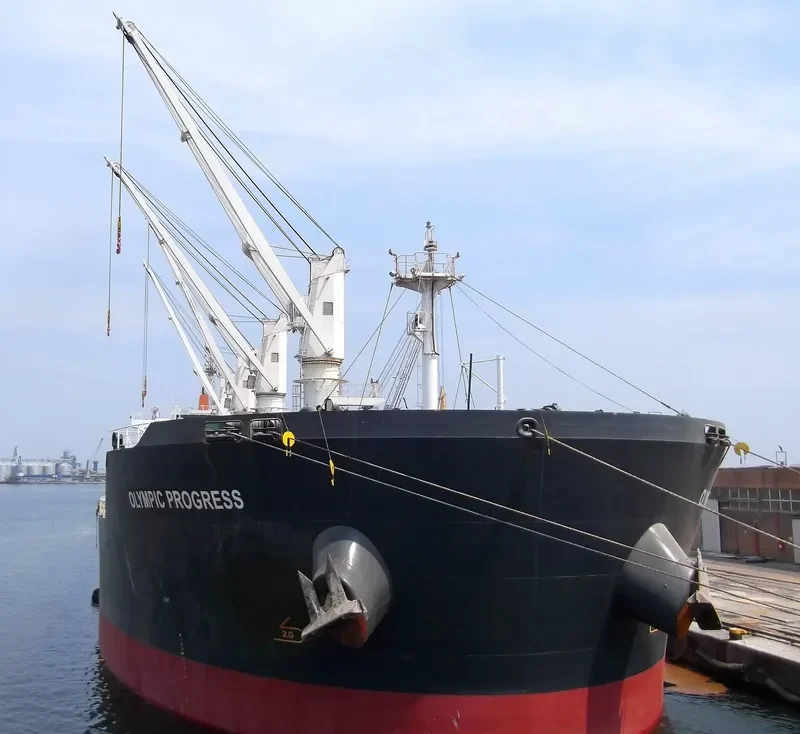 OLYMPIC PROGRESS Bulk Carrier IMO 9513854 photo 6
