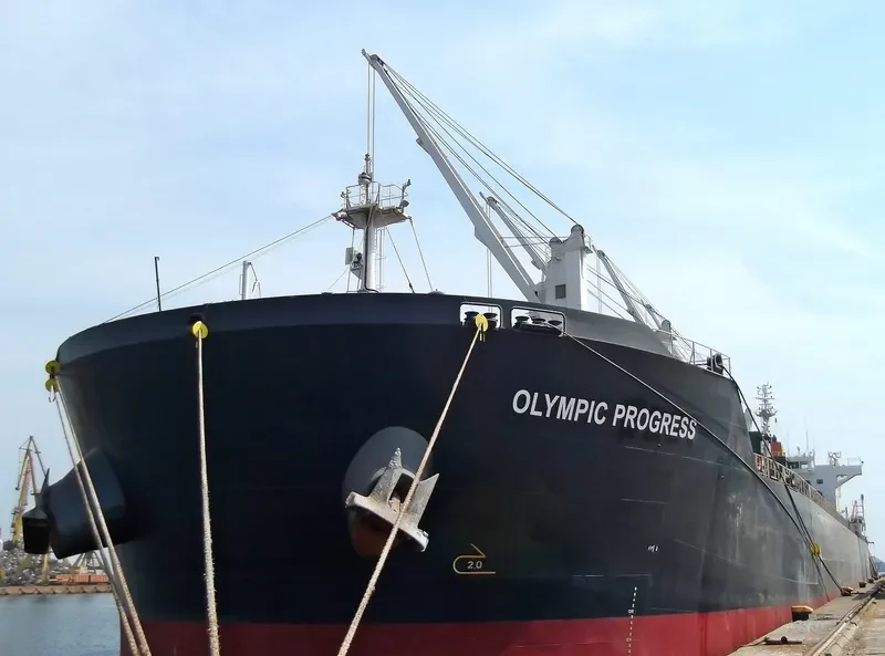 OLYMPIC PROGRESS Bulk Carrier IMO 9513854 photo 7