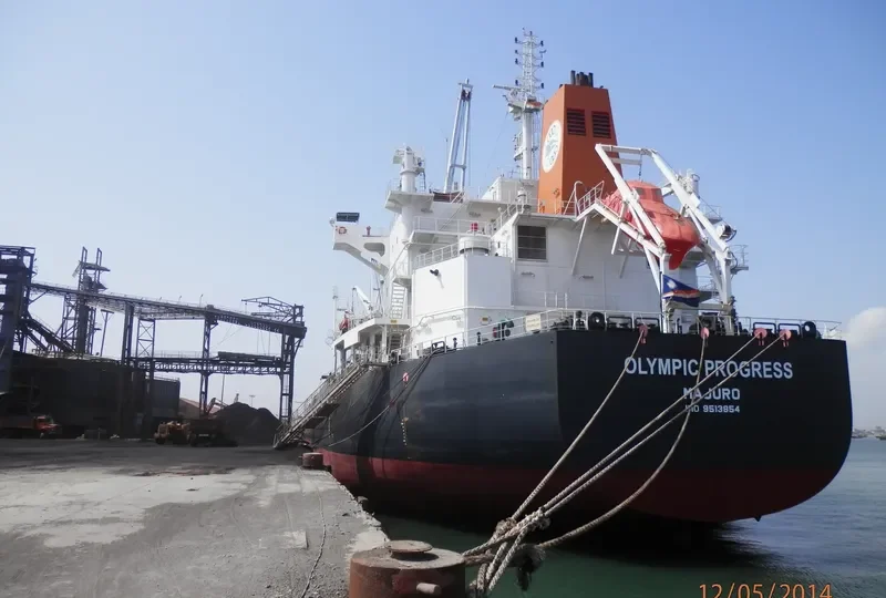OLYMPIC PROGRESS Bulk Carrier IMO 9513854 photo 10