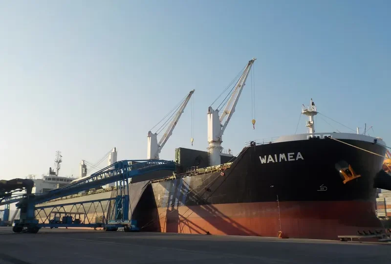 WAIMEA Bulk Carrier IMO 9513907 photo 3