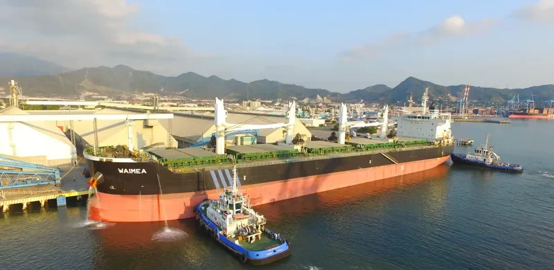 WAIMEA Bulk Carrier IMO 9513907 photo 4