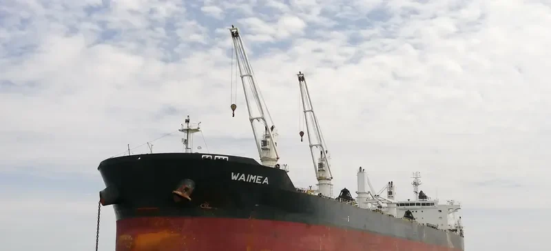 WAIMEA Bulk Carrier IMO 9513907 photo 6