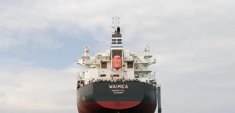 WAIMEA Bulk Carrier IMO 9513907 photo 7