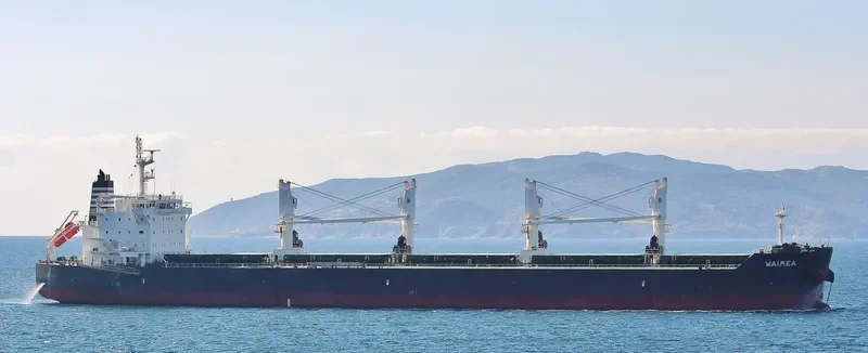 WAIMEA Bulk Carrier IMO 9513907 photo 8
