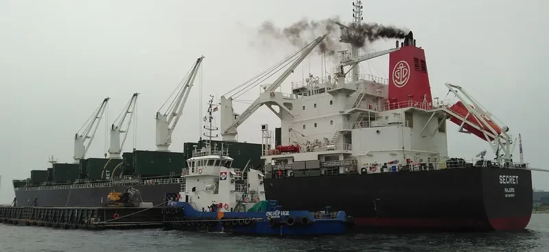 WAIMEA Bulk Carrier IMO 9513907 photo 9