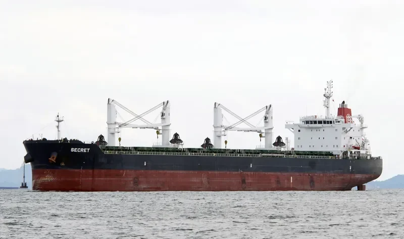 WAIMEA Bulk Carrier IMO 9513907 photo 10