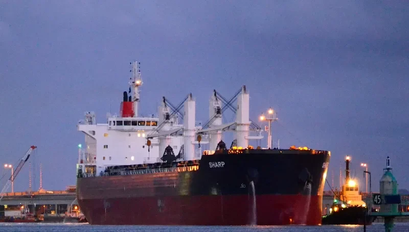 YASA SPARROW Bulk Carrier IMO 9513919 photo 9
