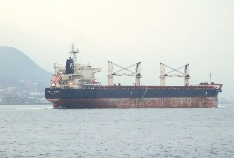 STELLAR EAGLE Bulk Carrier IMO 9514004 photo 3