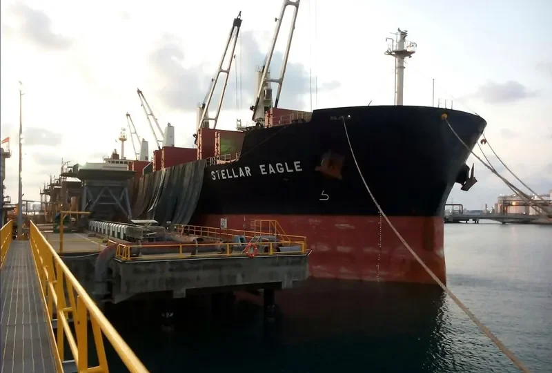 STELLAR EAGLE Bulk Carrier IMO 9514004 photo 6