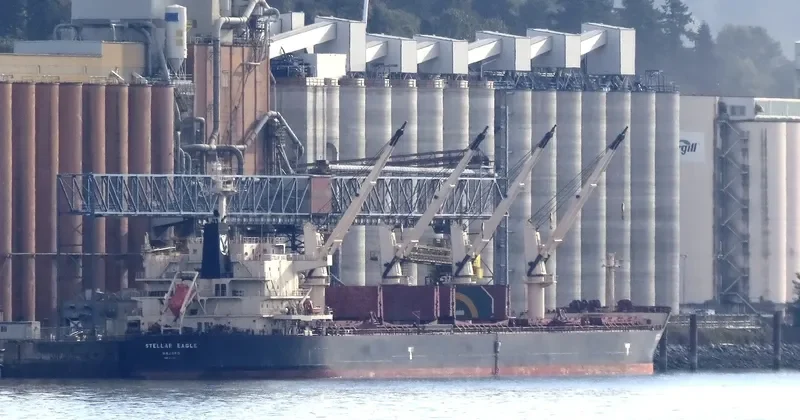 STELLAR EAGLE Bulk Carrier IMO 9514004 photo 8