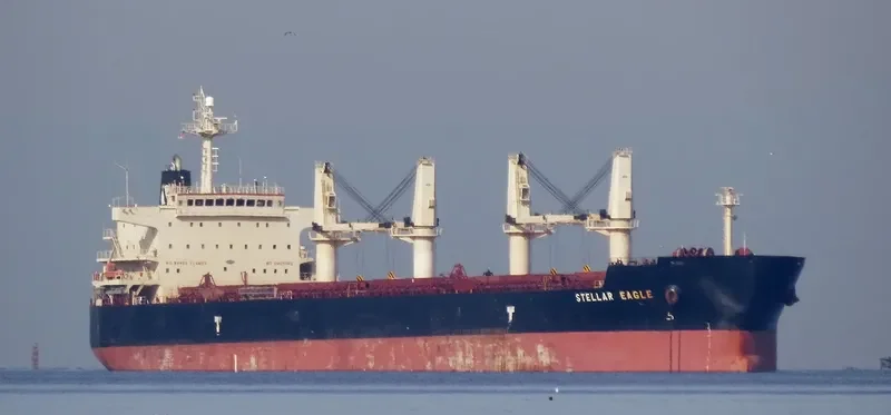 STELLAR EAGLE Bulk Carrier IMO 9514004 photo 9