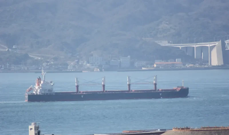 LISTA Bulk Carrier IMO 9514030 photo 8