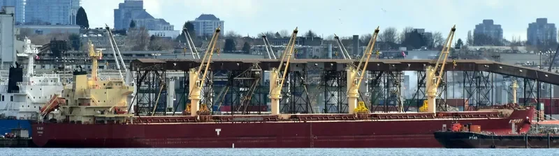 K.RUBY Bulk Carrier IMO 9514042